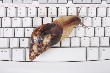 bigstock_Snail_And_Keyboard_2145192