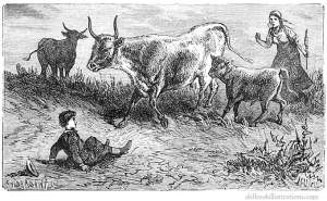 but not so charmingly rural